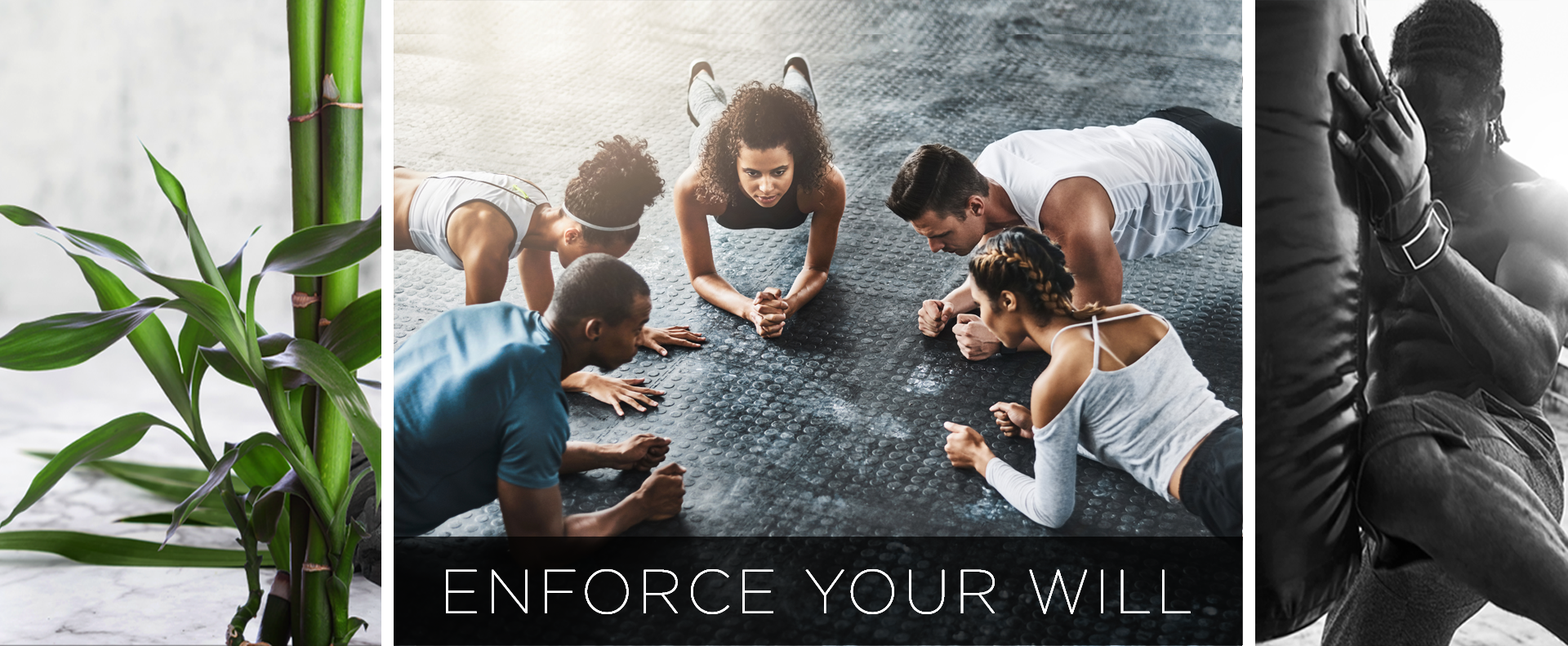 Thank you for your purchase