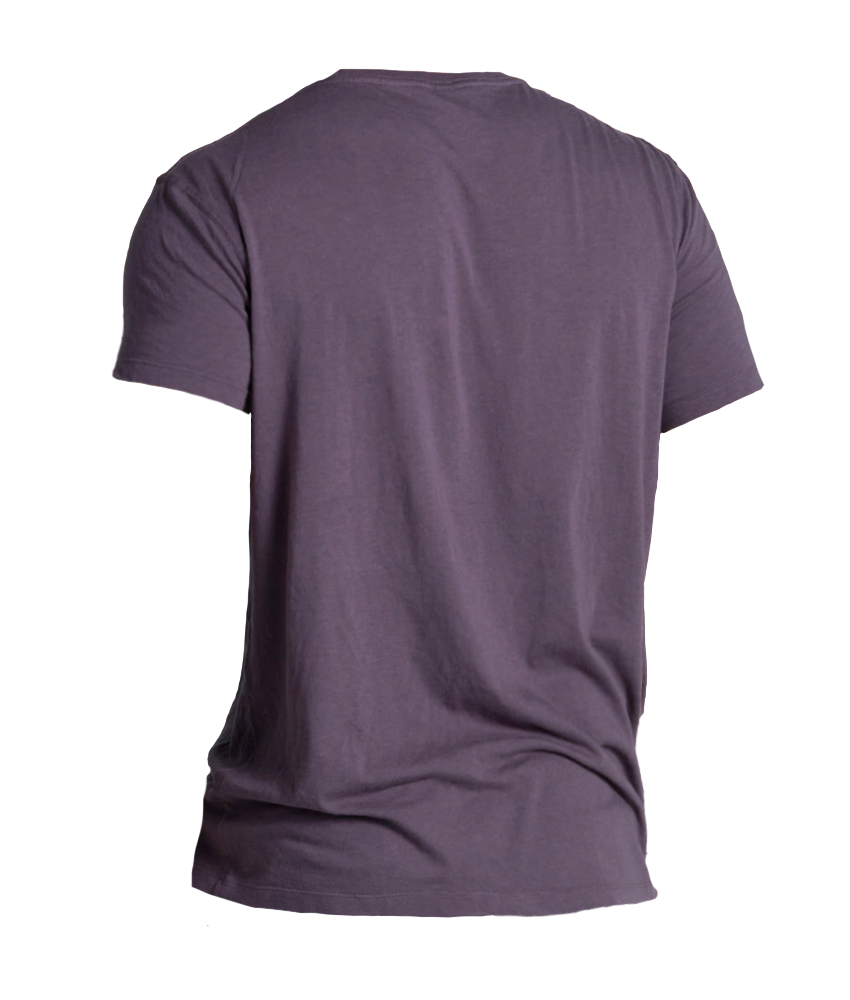 Mens Box Tee Purple Storm Back